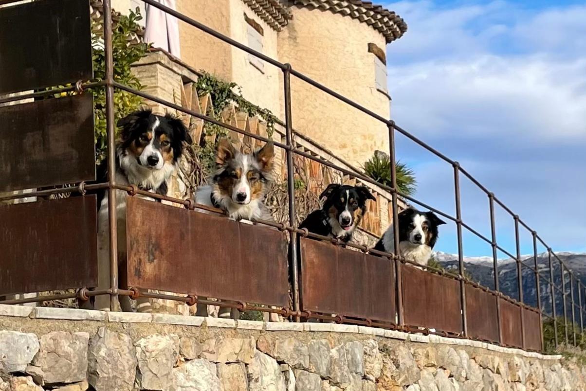 L'Escale Du Ciel Panzió Le Bar-sur-Loup Kültér fotó